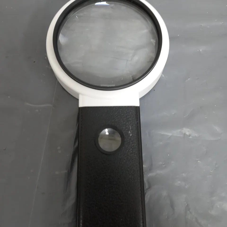 SFIXX SET OF 2 MAGNIFYING LAMPS