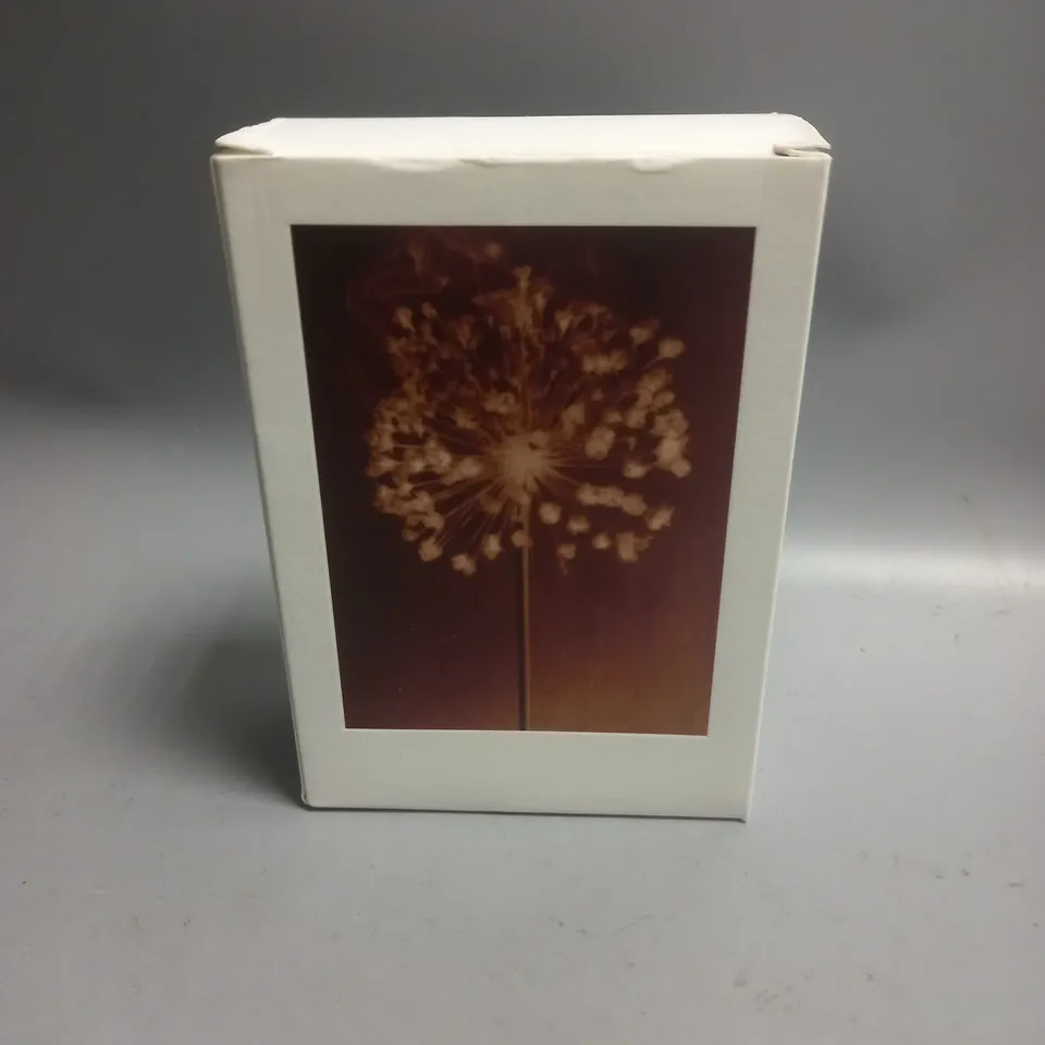 BOXED ALLSAINTS TESTER EAU DE PARFUM 100ML