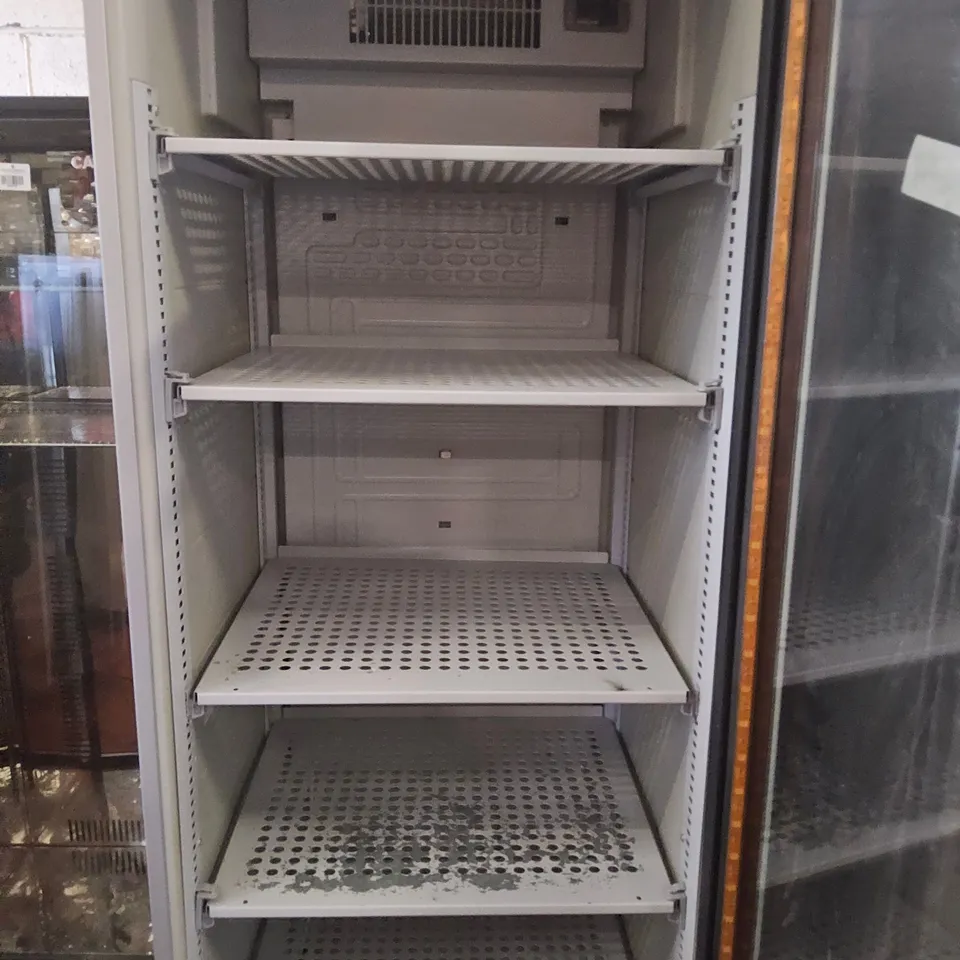 TALL DISPLAY FRIDGE