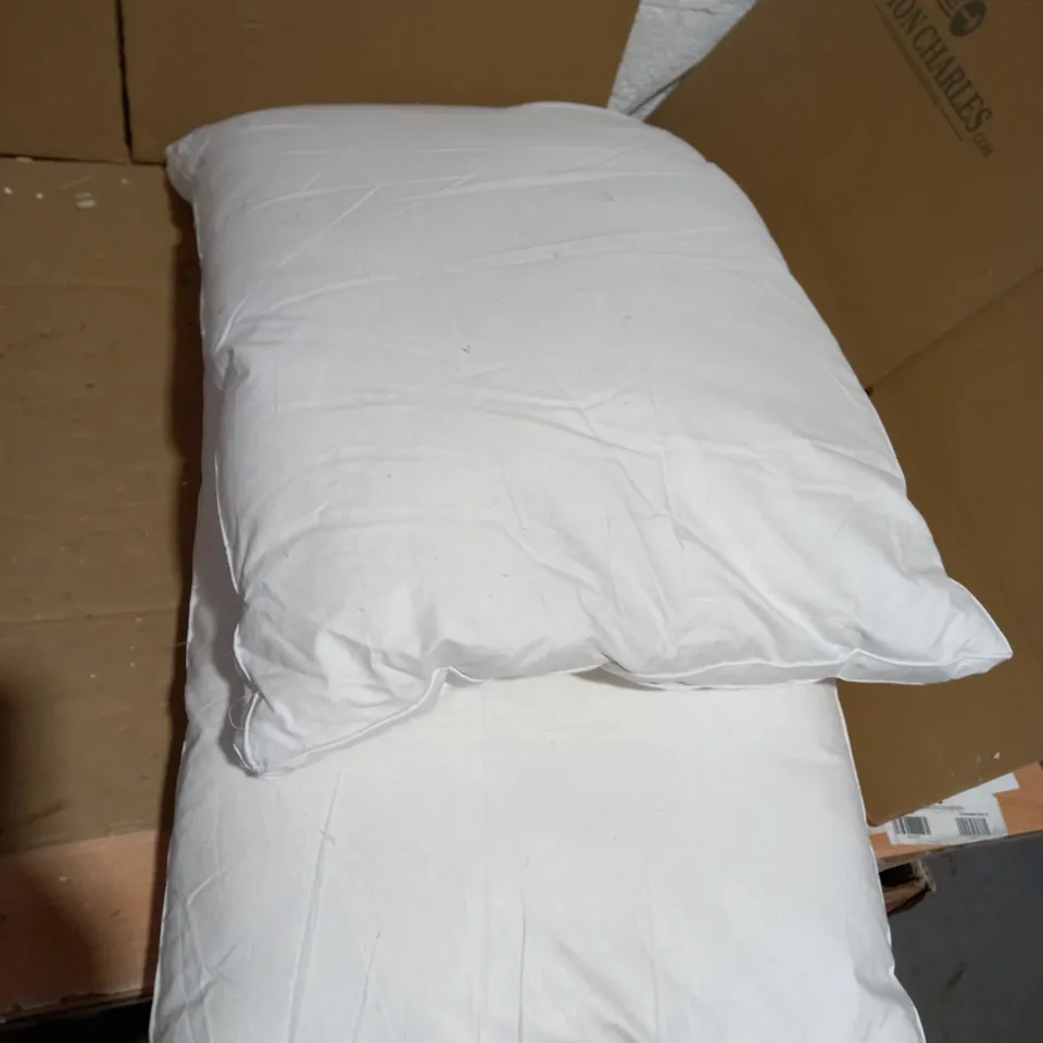 NORTHERN NIGHTS SET OF PUR FEATHER PILLOWS 