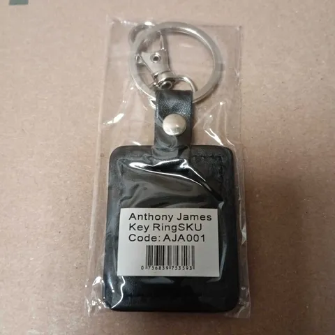 ANTHONY JAMES KEY RING