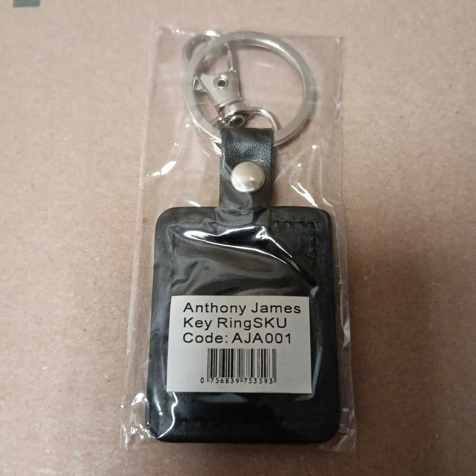 ANTHONY JAMES KEY RING