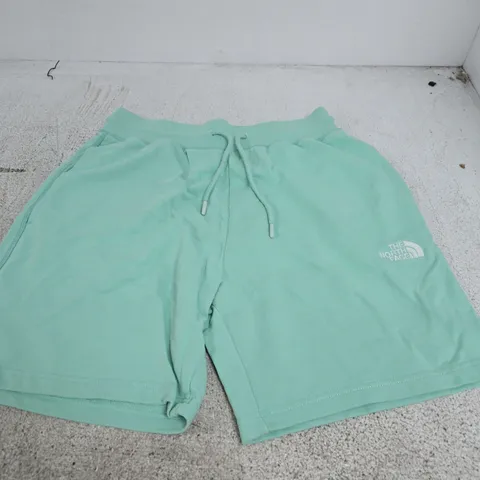 THE NORTH FACE MEN'S SHORTS β MINT GREEN, UK SIZE M