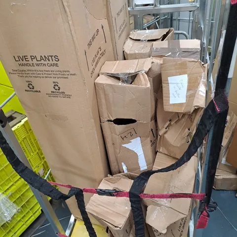 CAGE OF 5 ASSORTED BOXED PLANTS - COLLECTION ONLY