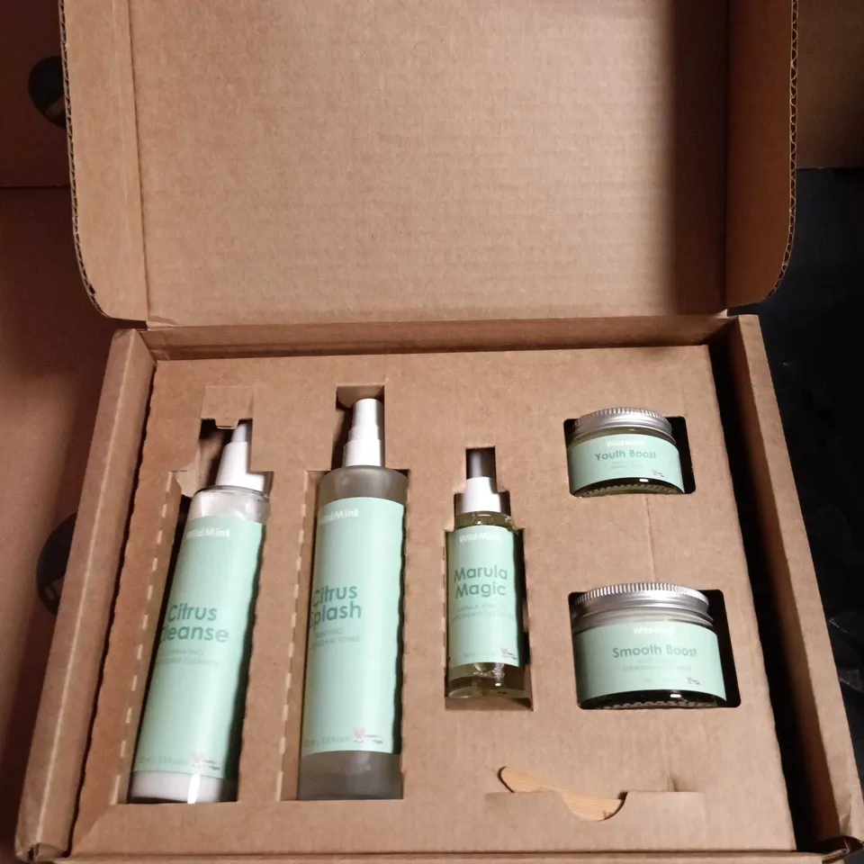 WILDMINT SKINCARE SET – MINT-GREEN BOTTLES & JARS: CITRUS CLEANSE, CITRUS POLISH, MARULA MAGIC, YOUTH BOOST & SMOOTH BOOST
