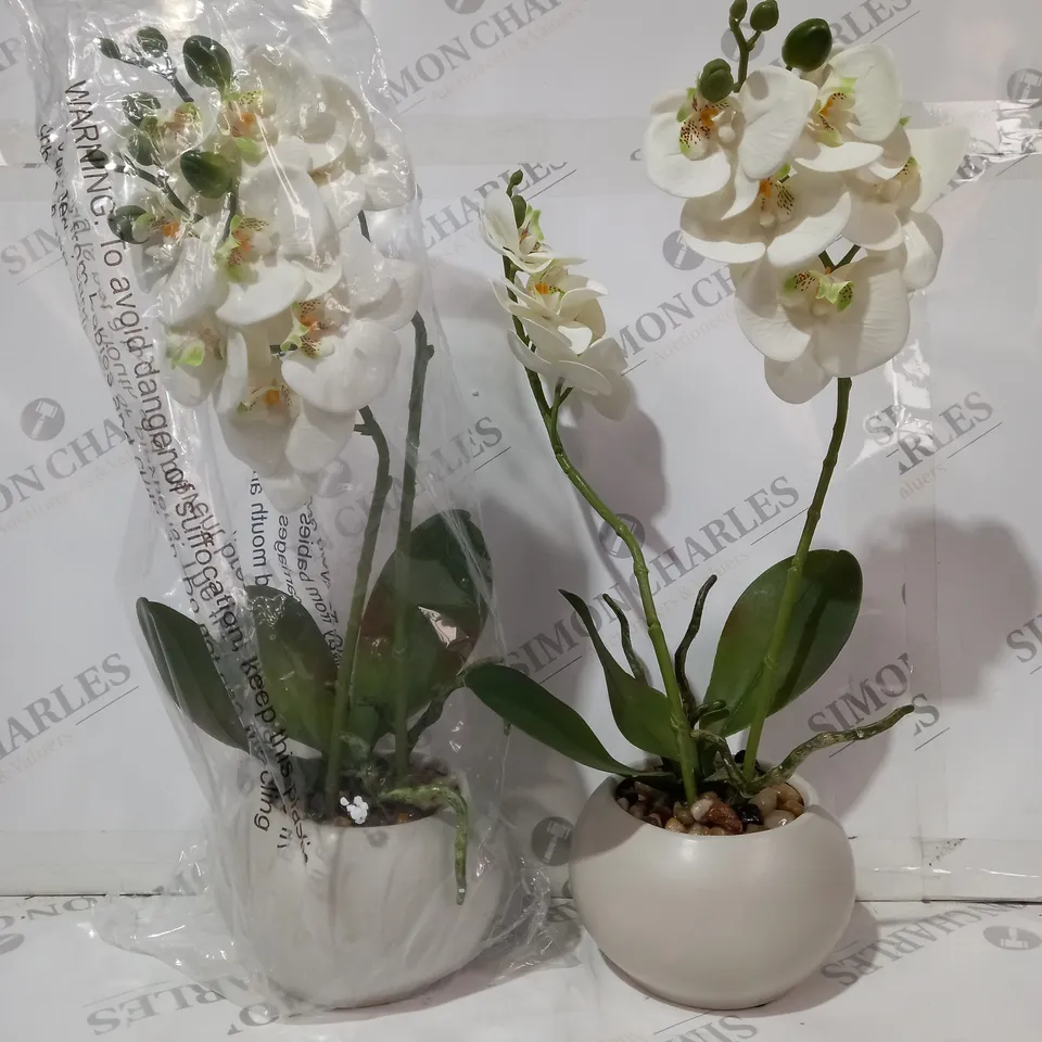 BOXED HOME REFLECTIONS SET OF TWO FAUX ORCHIDS WHITE