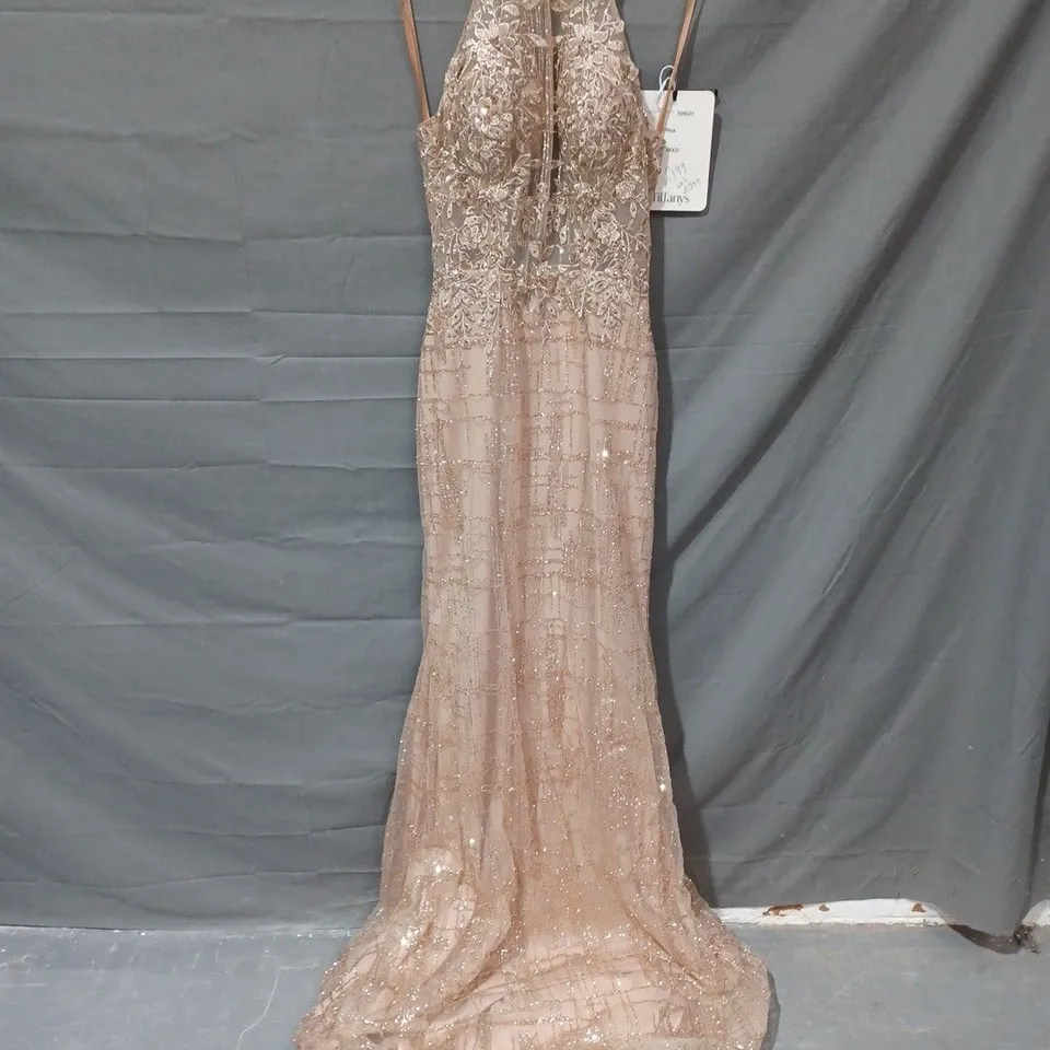 TIFFANYS PROM ASHLEY SEQUIN DETAIL MESH DRESS IN NUDE - SIZE 6