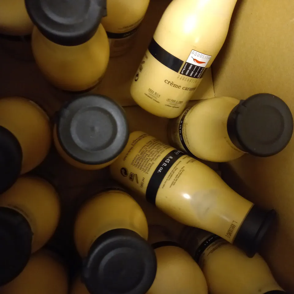 LOT OF APPROX 14 X 250ML AQUOLINA CARAMEL BODY MILK 