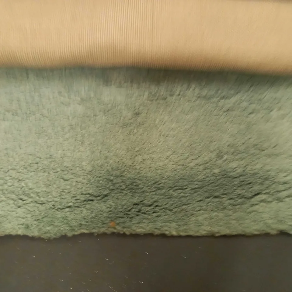DESIGNER STYLE SHAGGY RUG - GREEN 