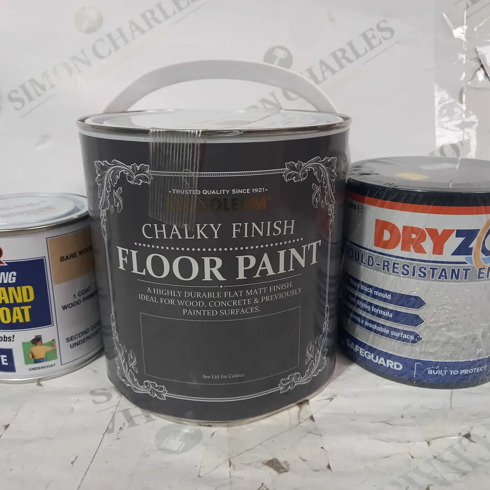 LOT OF APPROXIMATELY 10 ASSORTED HOUSEHOLD ITEMS TO INCLUDE DRYZONE MOULD-RESISTANT EMULSION PAINT, CHALKY FINISH FLOOR PAINT, RUSTINS PRIMER AND UNDERCOAT, ETC