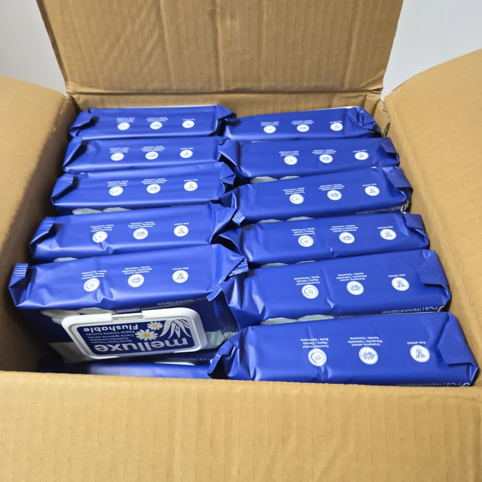 MELLUXE FLUSHABLE WIPES BULK PACK – 24 BAGS X 40PCS