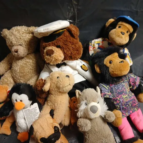 LOT OF APPROXIMATELY 20 ASSORTED PLUSHIES TO INCLUDE TY BEANIES AND WARMIES