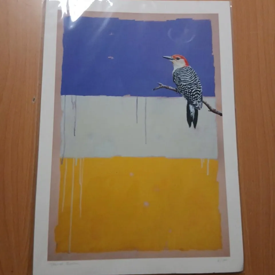 BIRD ON BRANCH – LIMITED EDITION PRINT 6/100 SIGNED BY ARTIST DANIEL QUIRKE