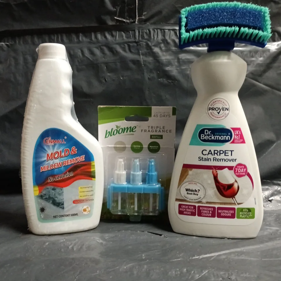 APPROXIMATELY 10 ASSORTED HOUSEHOLD ITEMS TO INCLUDE MOLD & MILDEW REMOVER, CARPET STAIN REMOVER, ETC