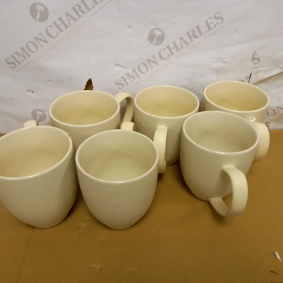 COLLECTION OF 6 MUGS (CREAM)