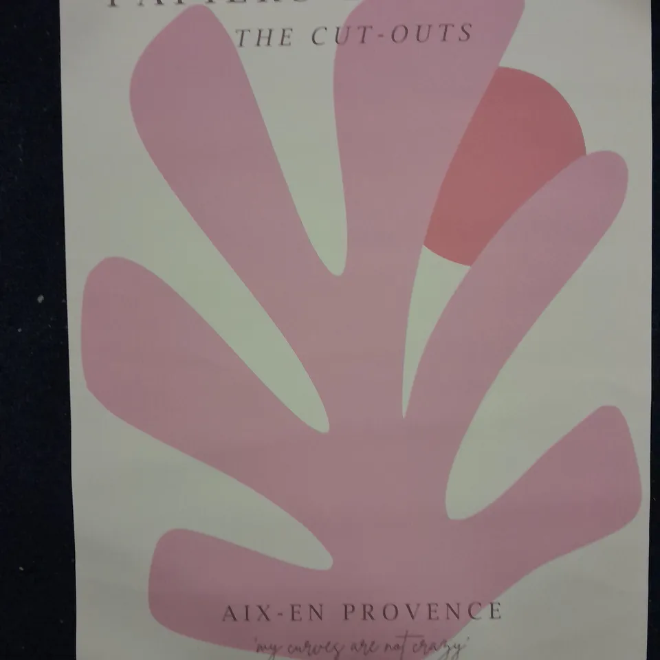 MATISSE PINK LEAF ART PRINT 