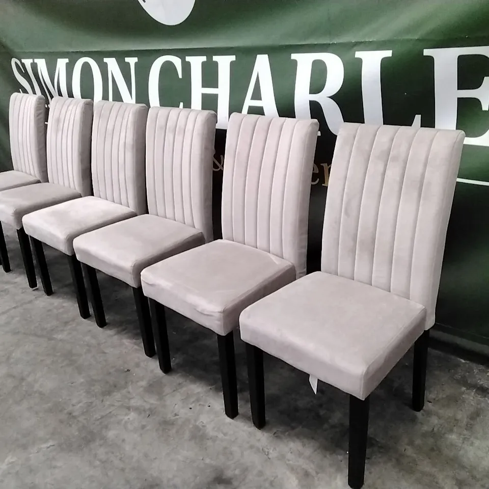 SET OF 6 DESIGNER SALISBURY DINING CHAIRS IN CLASSIC CHAMPAGNE VELVET AND BLACK SOLID HARDWOOD LEGS