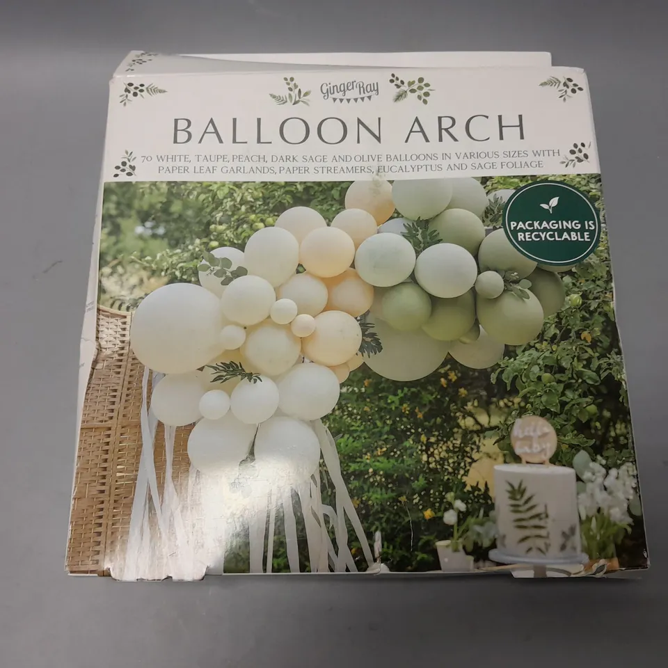 BOXED GINGERRAY BALLOON ARCH RRP £24.99
