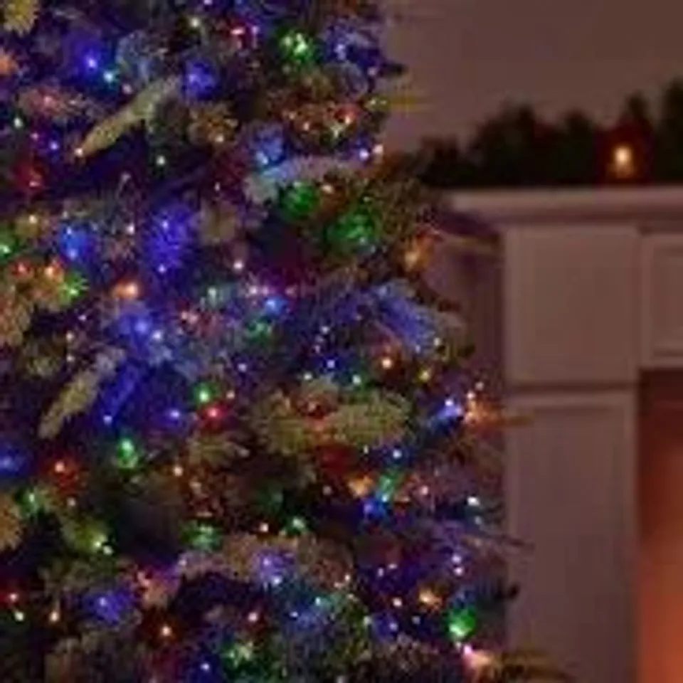 FESTIVE INDOOR OUTDOOR COLOUR CHANGING FUNCTION LIGHTS