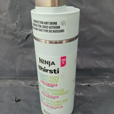 NINJA THIRSTI DRINKS CONTAINER IN MINT - 530ML	