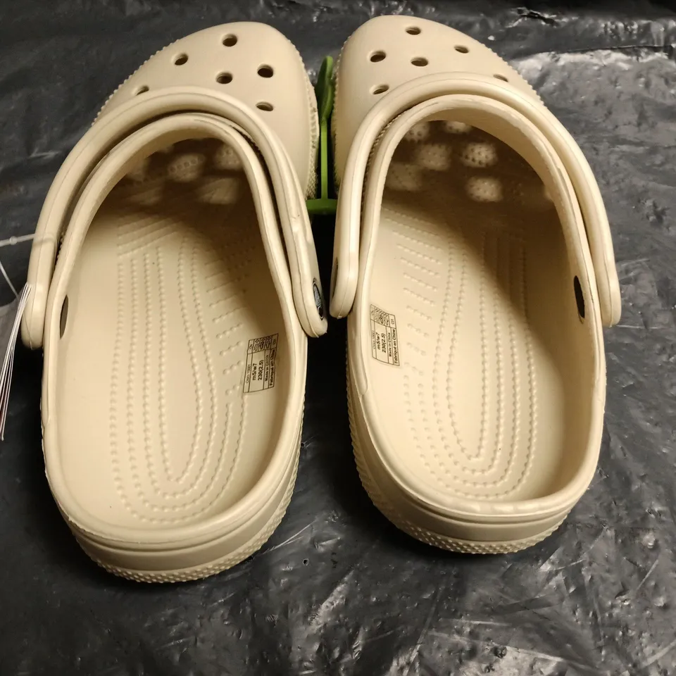 CROCS CLASSIC IN BONE WHITE - UK M4/W4