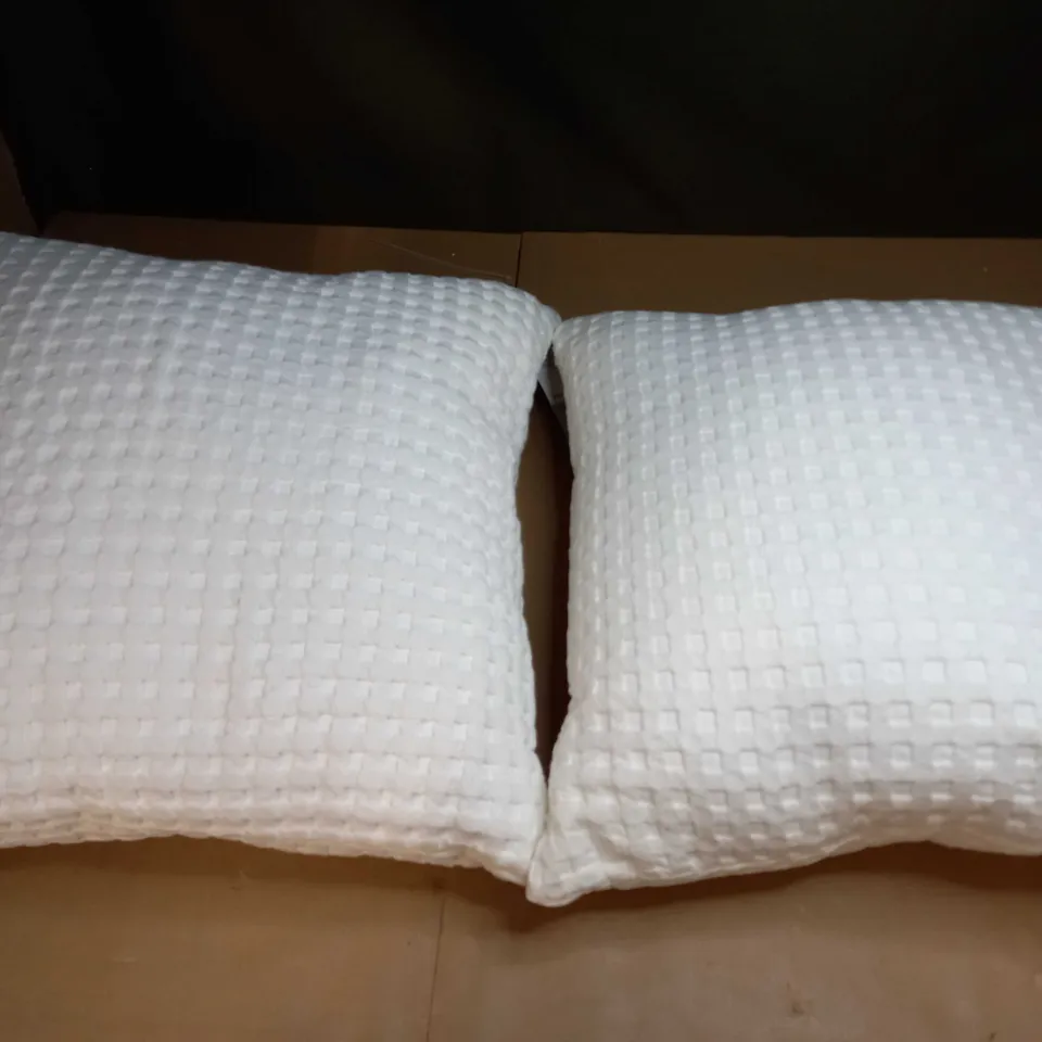 SET OF 2 PURE COTTON CUSHIONS