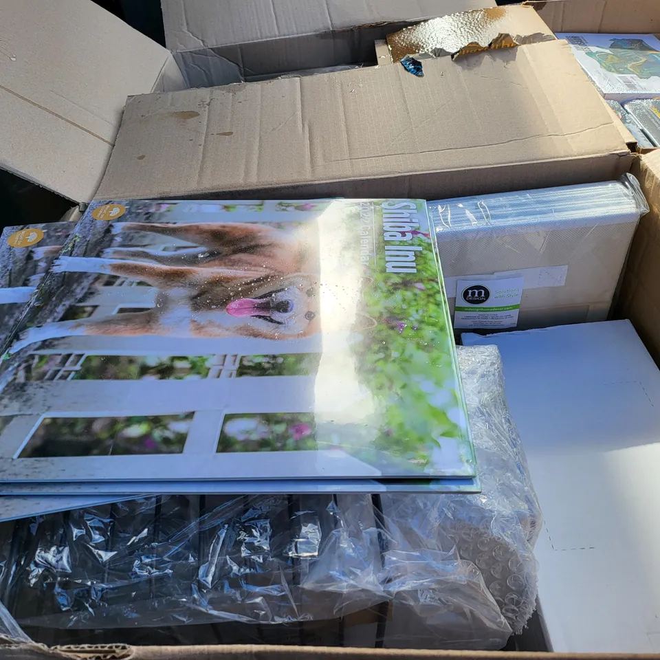 PALLET OF 16 MEDIUM BOXES OF A SIGNIFICANT QUANTITY OF ASSORTED ITEMS TO INCLUDE DINO PARADISE PLESIOSAUR KIT, MULTICOL8RED FLOWER 1000 PIECE PUZZLE, RECHOO LASTING HYDRA MATTE LIP GLOSS, ETC
