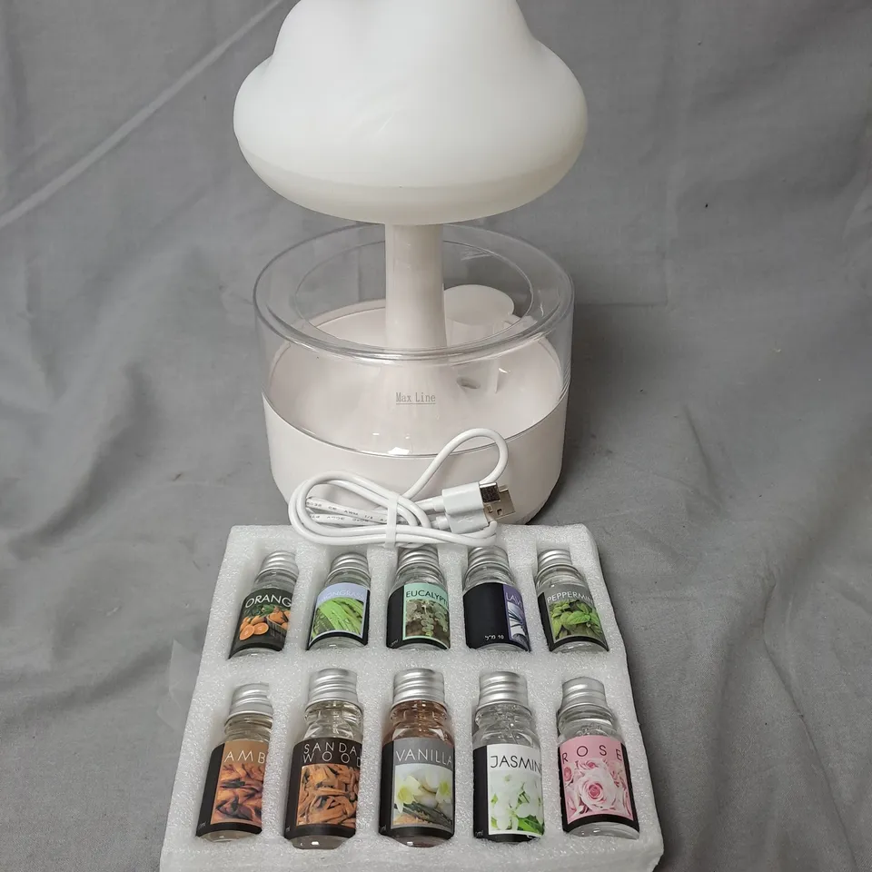 BLISS & BEYOND RAIN CLOUD HUMIDIFIER WITH ESSENTIAL OILS