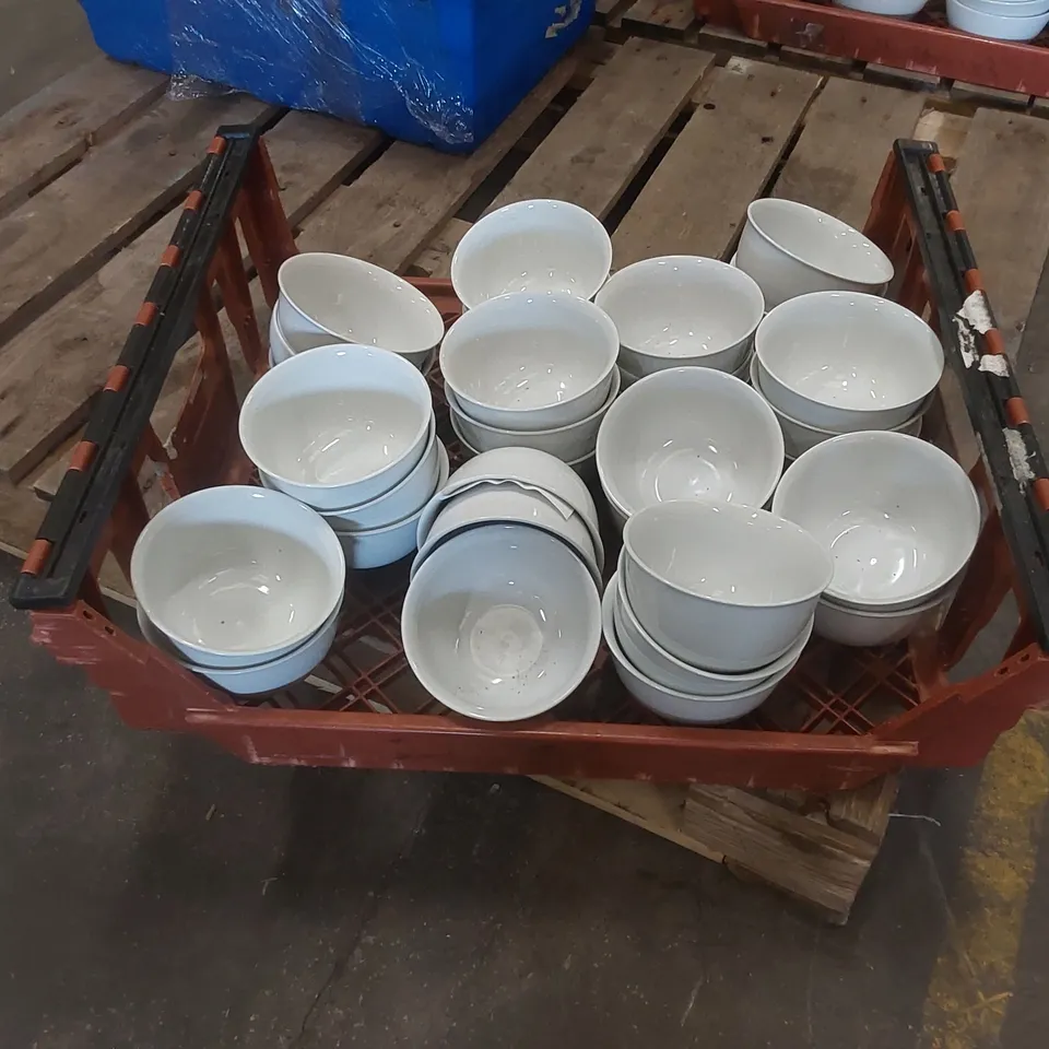 TOTE TO CONTAIN RESTAURANT BOWLS 