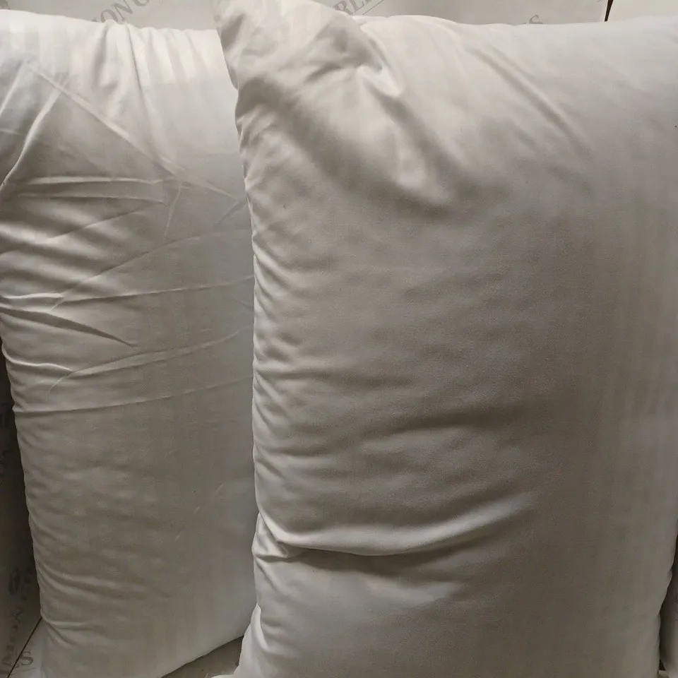 SET OF 2 UNBRANDED WHITE PILLOWS 