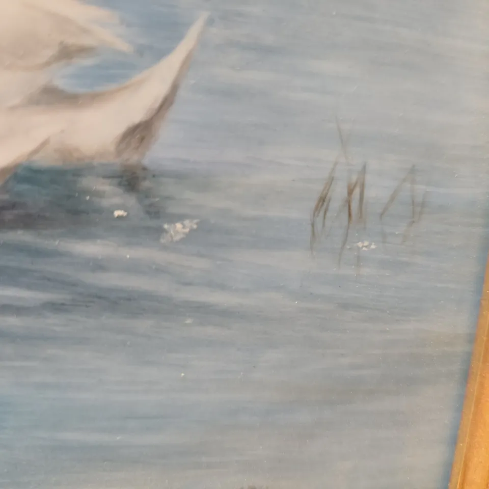 MILWYN HOLLOWAY  – SWANS ON A POND, FRAMED ARTWORK