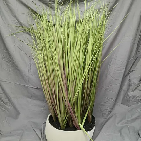 OUTLET K BY KELLY HOPPEN INDOOR OUTDOOR PRE-LIT LOMANDRA GRASS