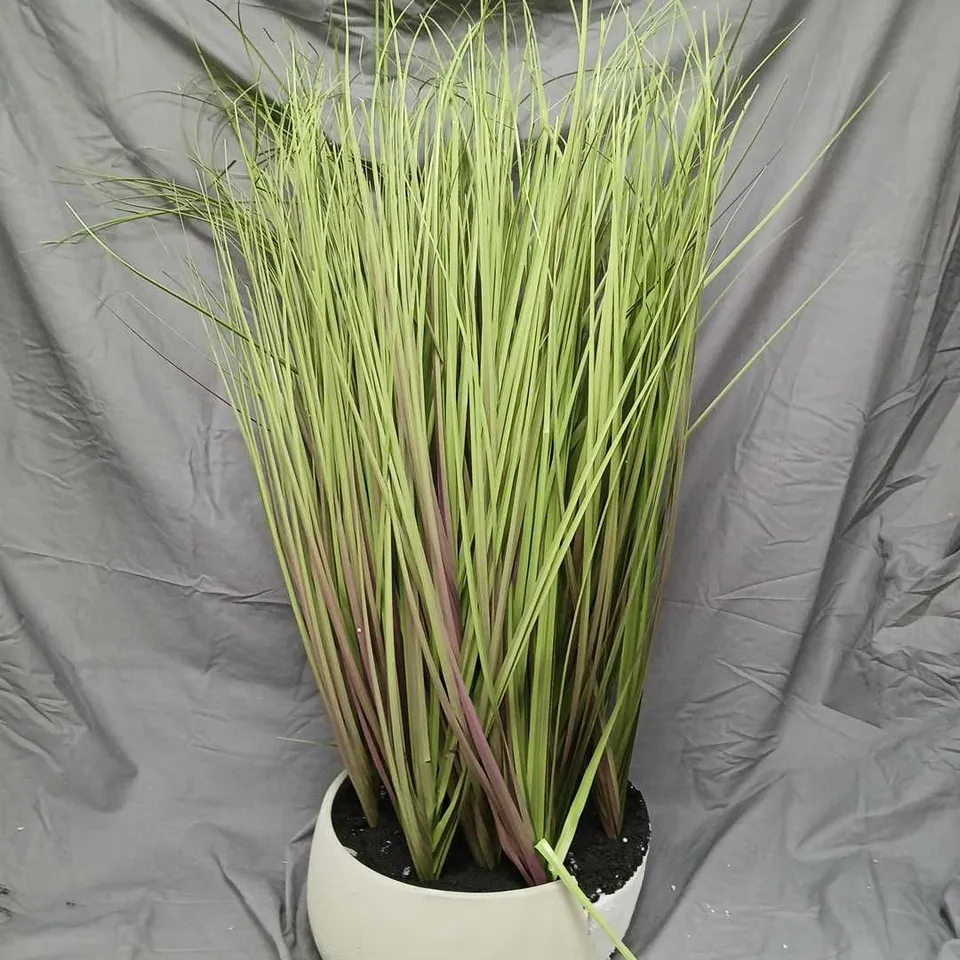 OUTLET K BY KELLY HOPPEN INDOOR OUTDOOR PRE-LIT LOMANDRA GRASS