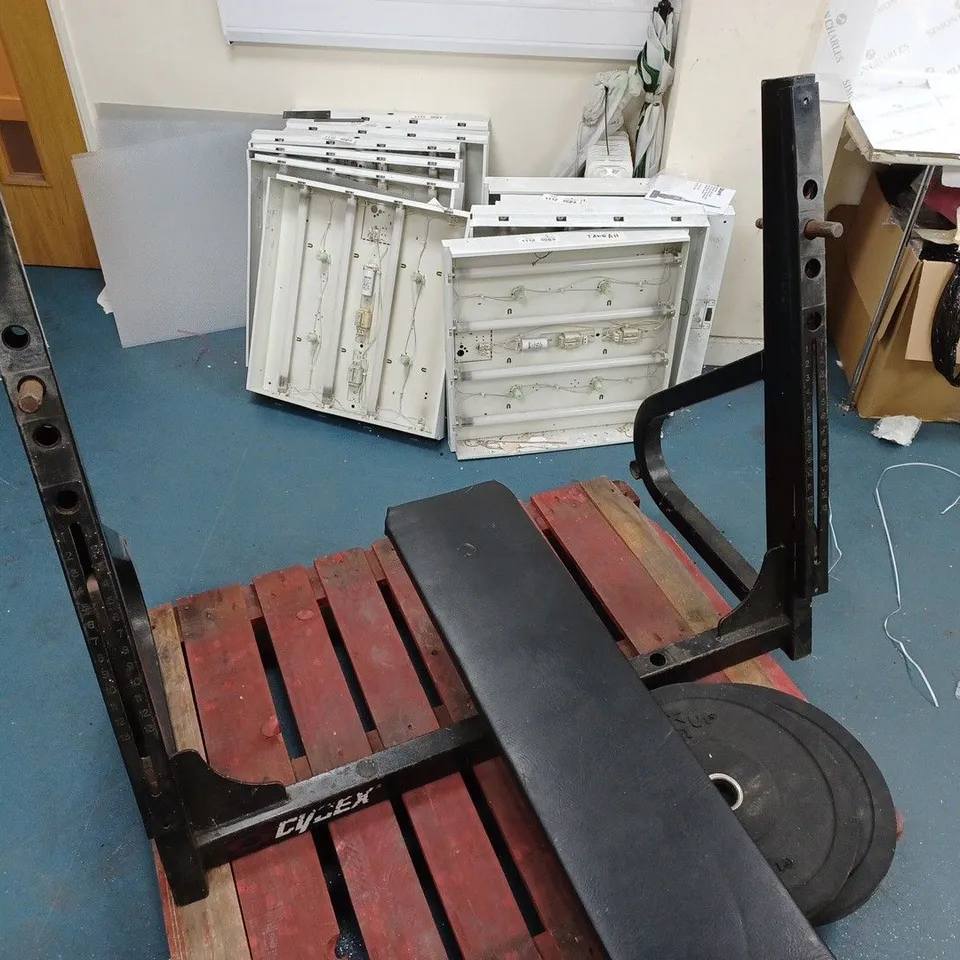CYBEX METAL WEIGHT LIFTING ITEM WITH TWO 5KG PLATES / COLLECTION ONLY