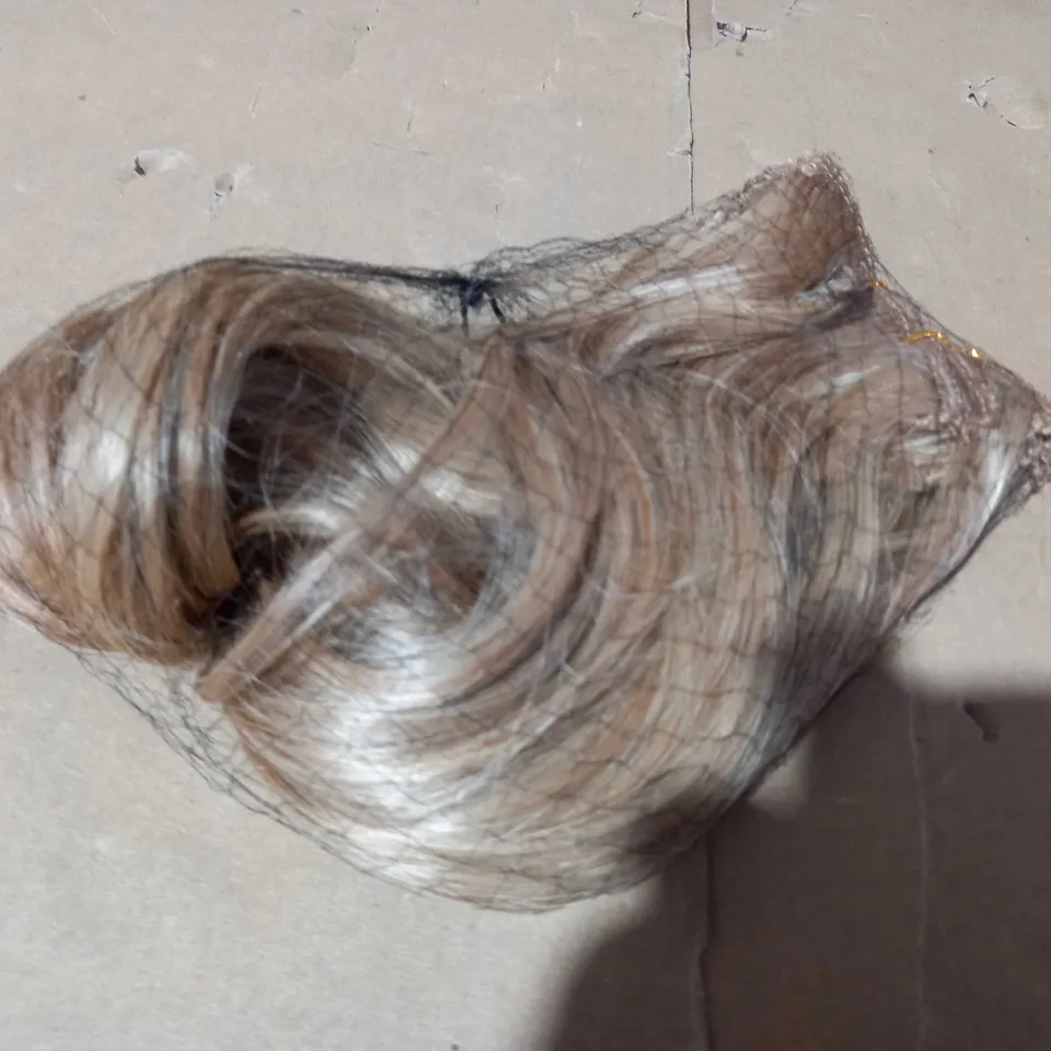 EASILOCKS SET OF 10 VOLUME STYLING HAIR PIECES - SAND & VANILLA