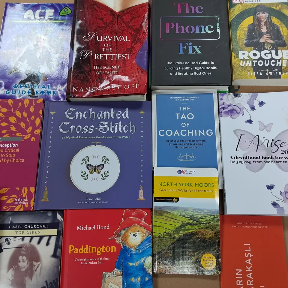 LARGE QUANTITY OF ASSORTED BOOKS TO INCLUDE HIDDEN LONDON, ENCHANTED CROSS STITCH AND THE EXCITEMENTS