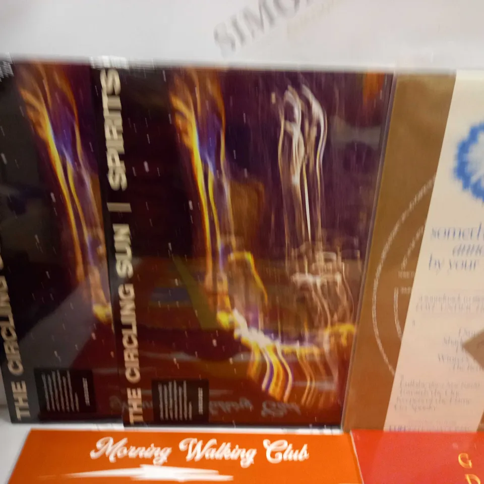 LOT OF 10 ASSORTED VINYLS TO INCLUDE MORNING WALKING CLUB, THE CIRCLING SUN AND THE DARLING BUDS