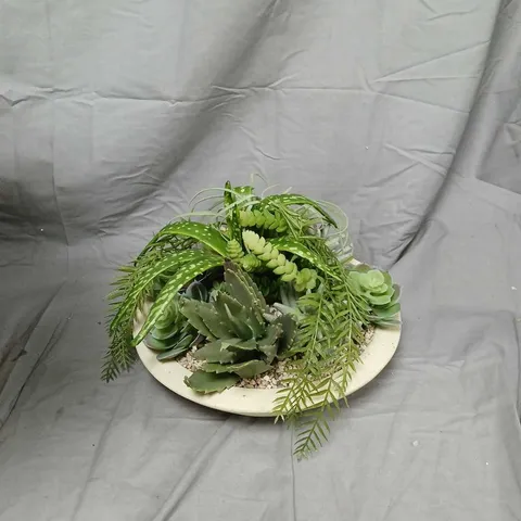 SUCCULENT ARRANGEMENT IN A SHALLOW CERAMIC DISH
