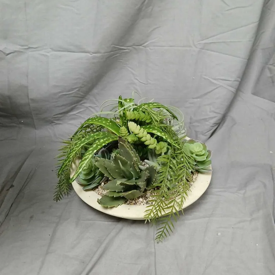SUCCULENT ARRANGEMENT IN A SHALLOW CERAMIC DISH