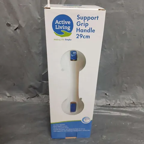 6 BOXED SUPPORT GRIP HANDLE 29CM