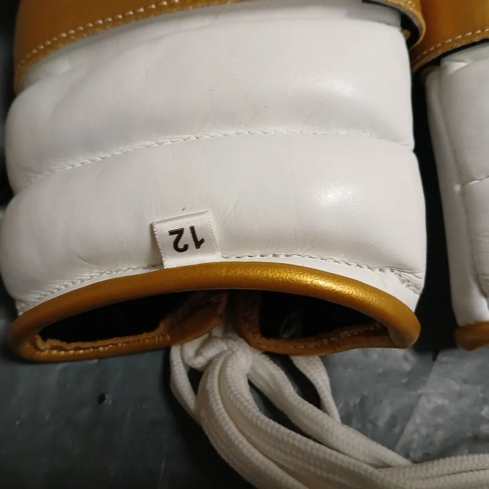 FORTRESS BOXING SS 2.0L BOXING GLOVES - 12