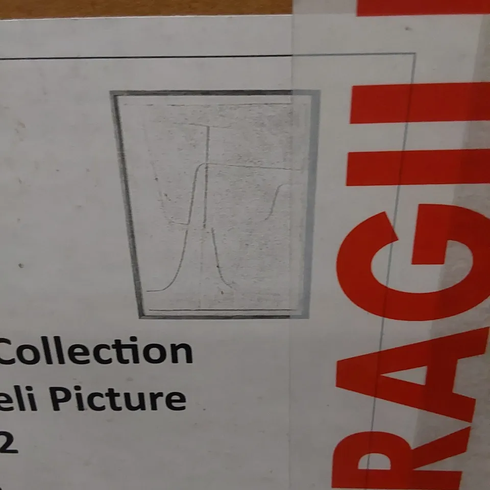 BOXED HOME COLLECTION GLAM DANDELI WALL DECOR ART PIECE