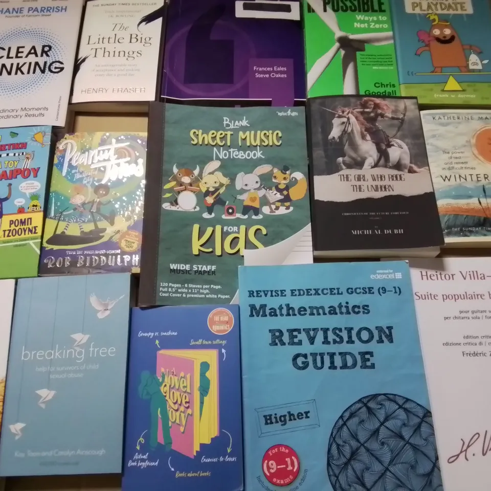 LARGE QUANTITY OF ASSORTED BOOKS TO INCLUDE THE GIRL WHO RODE THE UNICORN, ISLAMIC CONQUEST AND VARIOUS KIDS BOOKS