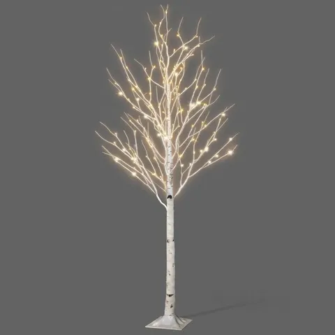 BOXED NETTA BIRCH TREE WITH WARM WHITE LIGHTS