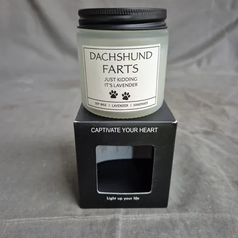 DACHSHUND FARTS LAVENDER SOY WAX CANDLE – HANDMADE