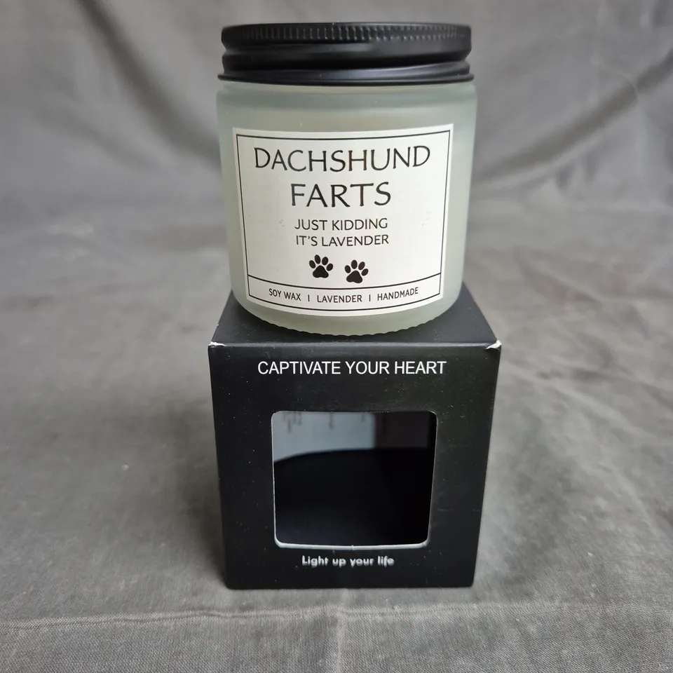 DACHSHUND FARTS LAVENDER SOY WAX CANDLE – HANDMADE