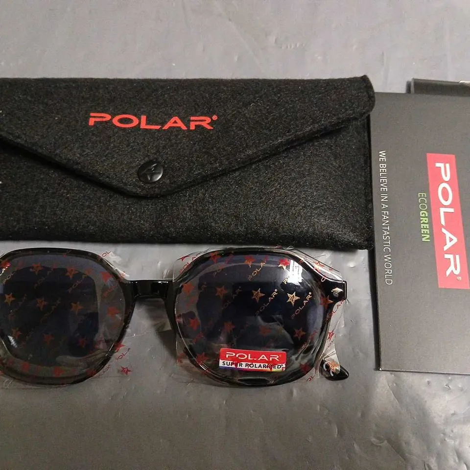 PAIR OF POLAR REVERT GLASSES IN CARRY CASE