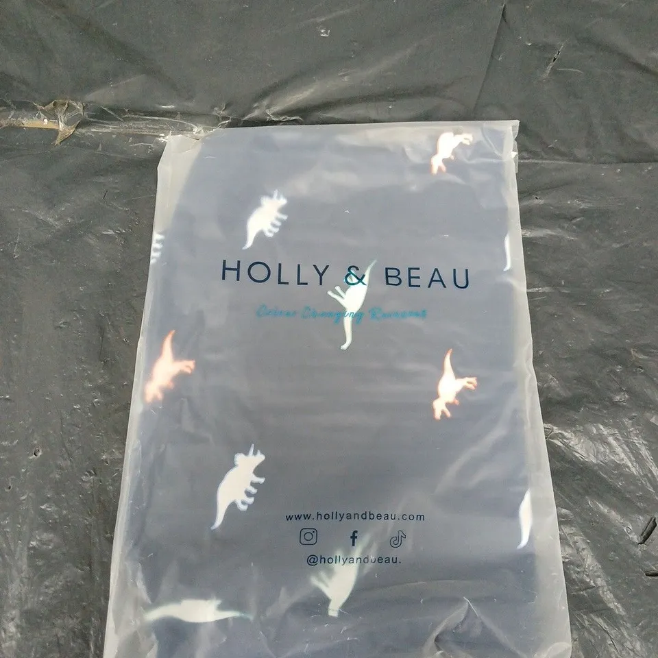 BAGGED HOLLY AND BEAU DINOSAUR RAINCOATS - SIZE AGES 5/6 YEARS - KIDS - COLOUR CHANGING 