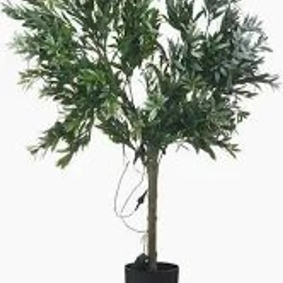 BOXED MY GARDEN STORIES BUSHY LED OLIVE TREE