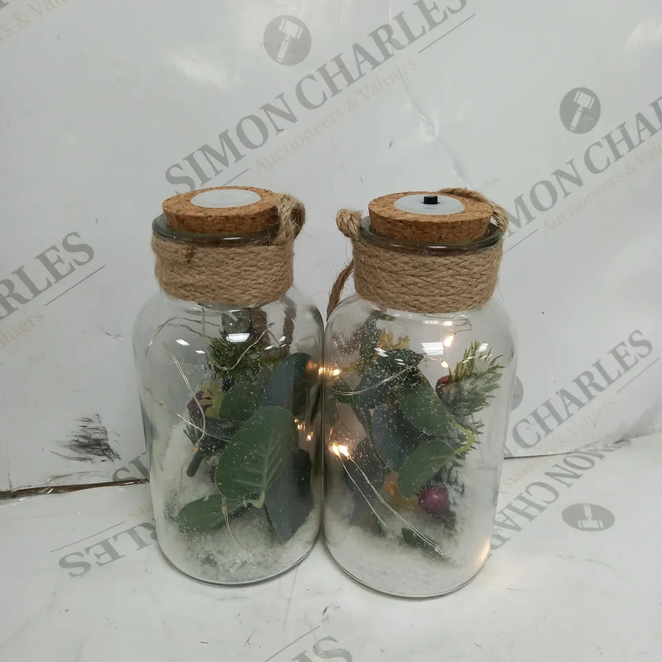 SARAH DAVIES SET OF 2 PRE LIT FOLIAGE GLASS JARS